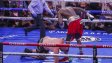 Джошуа, Усик... Фюри ги отписа и каза кой може да го победи