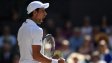 Какво завръщане само! Джокович е новият шампион на Уимбълдън след лесна победа над Андерсън