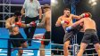 Янис Стофоридис влиза в първия си сблъсък с Франческо Джая на SENSHI 30