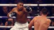 Джошуа аутсайдер срещу Уайлдър? Не сте добре с главата