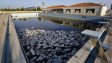 Олимпийска разруха: Руините в Атина, 12 години по-късно + СНИМКИ