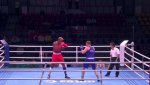 Трима българи на ринга в Албена днес 