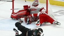 Голова фиеста с 9 попадения в НХЛ