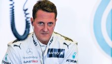 Горещ слух: Шуми може да стои на маса и да се храни!