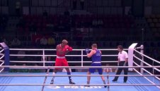 Трима българи на ринга в Албена днес 