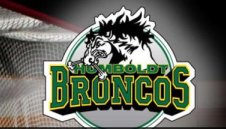 Трагедия! Четиринадесет хокеисти загинаха в катастрофа