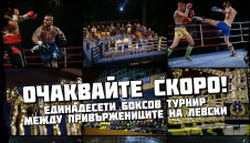 Фенове на Левски подготвят страховити боеве