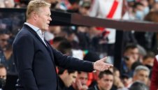 Куман засипа със суперлативи завърнало се лале