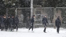 Головия хищник не само пее, но и вкарва 