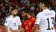 Барса набеляза испански национал