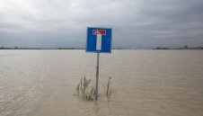 Феновете на Милан бесни! Питат защо други събития не са отменени в Болоня