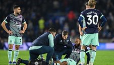 Пчеличките загубиха и другата си ключова фигура