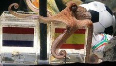 Октоподът отсече: Испания е световен шампион!