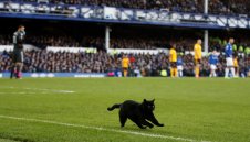 Черна котка мина път на Евертън