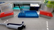 1336 са новите случаи на коронавирус в България 