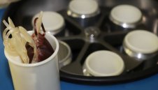 Още 119 заразени с коронавирус, половината са от Варна