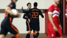 Люти "лалета" цъфнаха 7 пъти за една нощ