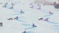 ВИДЕО: Тервел Замфиров е световен шампион