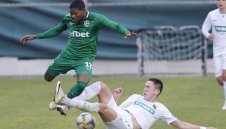 Лудогорец се раздели с крило