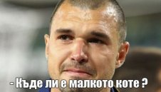 Бисери на седмицата: "Малки котета, котаракът се завръща в Белград"