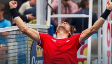 Давид Ферер превзе Виена