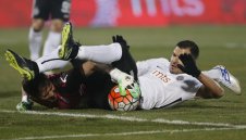 Головия хищник влезе в ново амплоа, лъска бутонки 