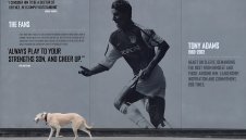 Арсенал – Карабах 