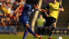 Тотнъм дебне за Лисица