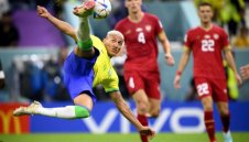 Нова лудост! Шейховете вадят умопомрачителна сума за Гълъба