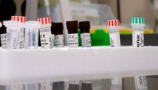 1713 са новозаразените с коронавирус в България