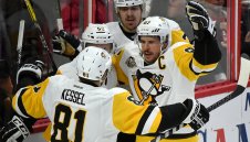 Пингвините не се дават на Отава