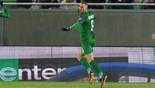 Пьотровски – арабски жребец под меча кожа