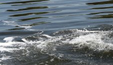 Бивше гадже уби с чук ватерполистка в Сидни