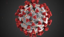 669 са новозаразените с коронавирус у нас 