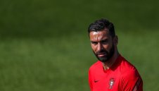 От една порода: Рома си хареса английски "вълк"