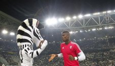 Погба паникьоса "старата госпожа"