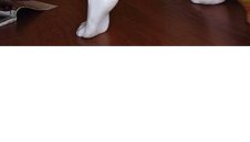 ОБЗОР НА КРЪГА: Бундеслига