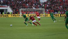 Фенербахче иска капитана на Лудогорец