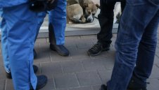 Бездомните кучета няма да попречат на провеждането на Олимпиадата