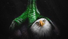 Жестока подигравка: От Олимпия се изгавриха с Лудогорец след боя снощи