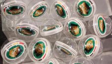 Байерн срещу Леверкузен за Купата на Германия