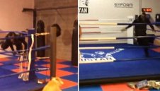 Куче изплаши до смърт Супер Марио + ВИДЕО