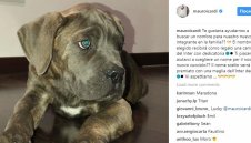 Икарди обеща награда за феновете на Интер 