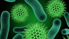 Нов случай на коронавирус във Висшата лига