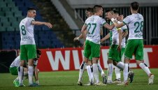 Пирин взе решение за бъдещето