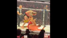 Шок на "Clash MMA 15" след ужасяващо отхапване на ухо + ВИДЕО