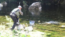 Пускат един тон пъстърва за Световното по риболов в Девин