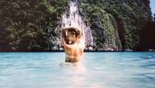 Зигмунд психира Сесил в Щутгарт