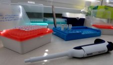 Лошо: 819 нови случая на коронавирус в България