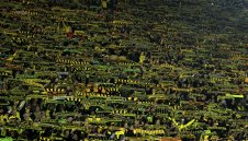 В Ливърпул солидарни към трагедията в Дортмунд + ВИДЕО